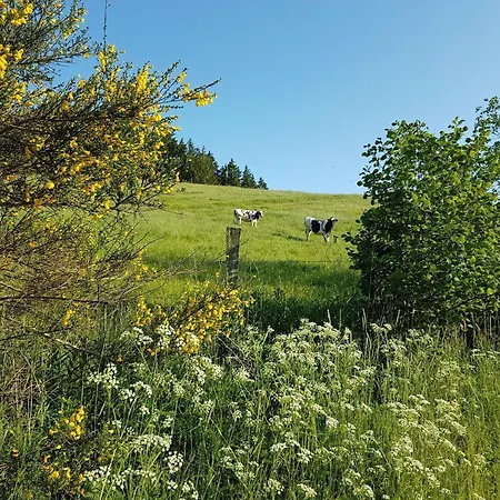 Holiday Home In Auw With Terrace Auw bei Prum
