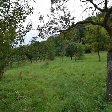 In Auw Near Holiday home *