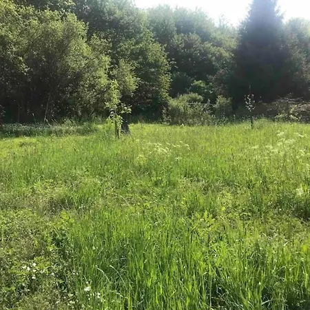 In Auw Near Holiday home Auw bei Prum